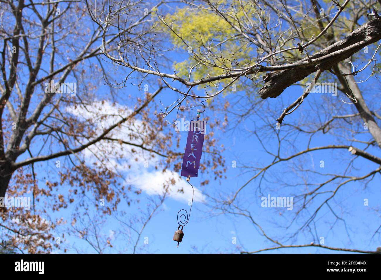 Sognare in grande Foto Stock