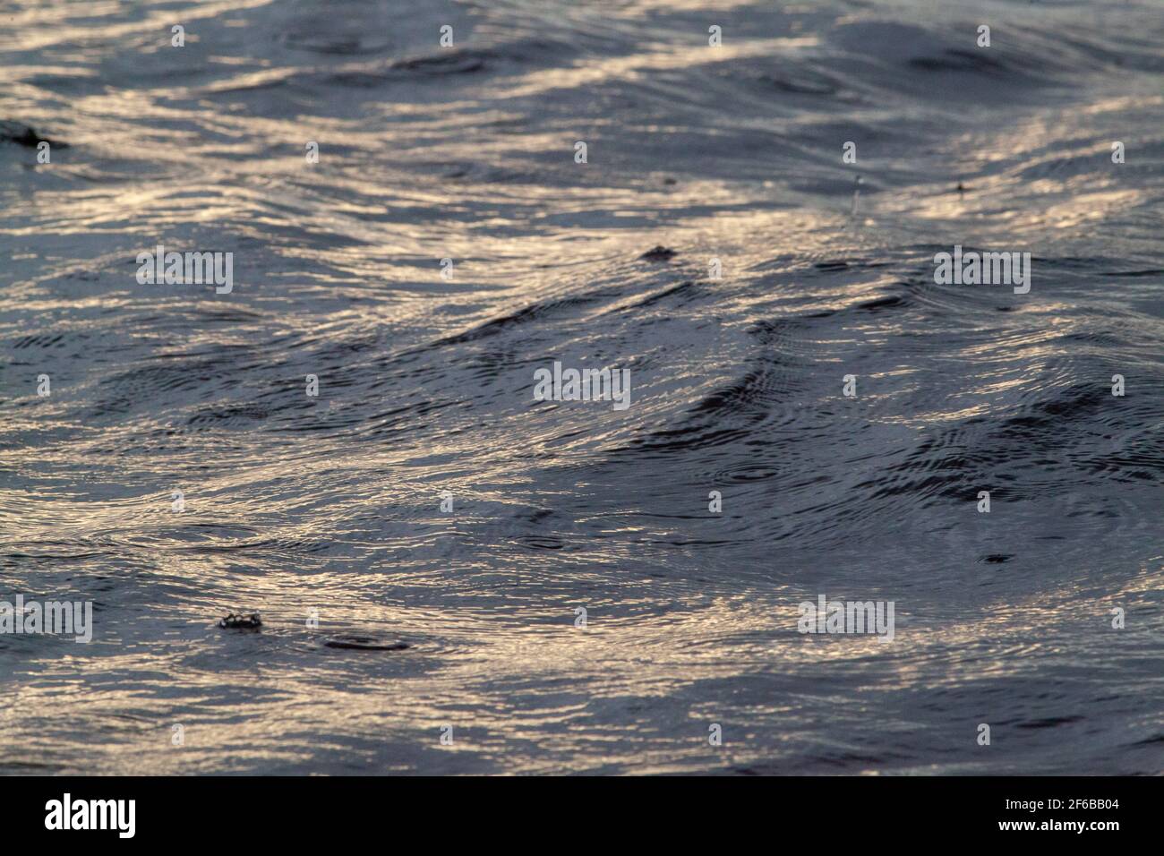 Gonfiore, supore, movimenti transitori sulla superficie di un fiume d'acqua dolce. Onde di luce laterale testurizzate occasionali gocce di pioggia. Cambiamenti di umore del tempo Foto Stock