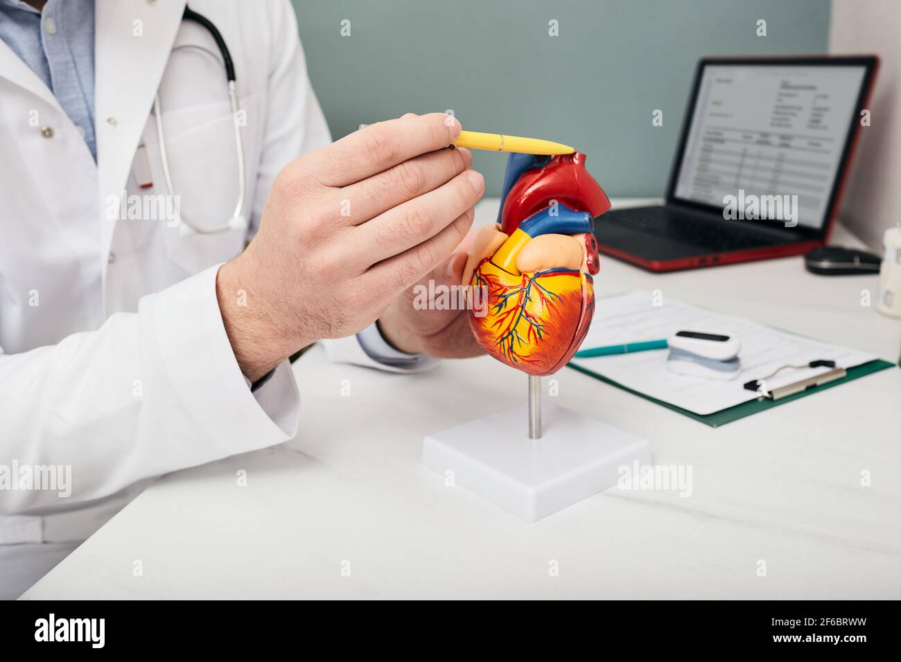 medico che mostra una struttura e anatomia di un cuore umano utilizzando un modello di insegnamento medico di un cuore, puntando con una penna all'aorta Foto Stock