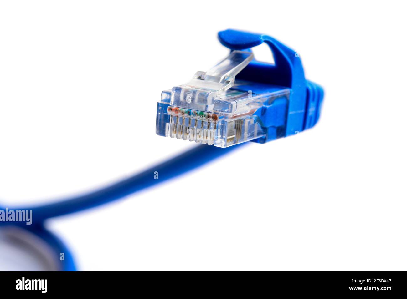Connettore rj-45 su cavo patch blu per connessione ethernet LAN di rete. Tappo a forma di serpente. Primo piano macro isolata su sfondo bianco. Foto Stock