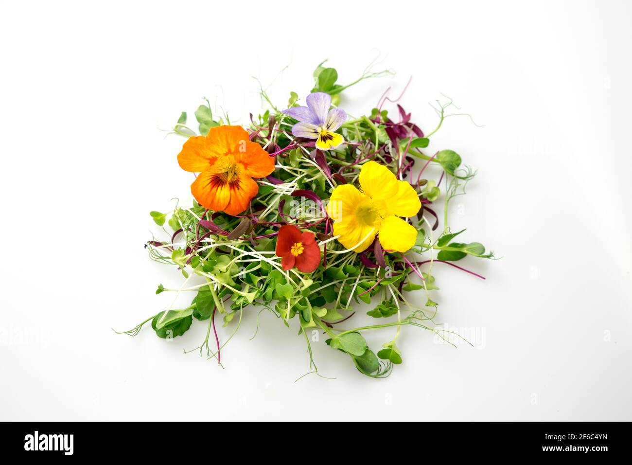 Fiori commestibili e micrograni mescolano isolati su bianco: Germogli di piselli, broccoli, oraci, nasturzio, begonia, viola Foto Stock