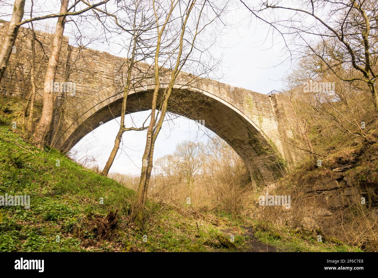Causey Arch è il ponte ferroviario più antico del mondo. Vicino a Stanley, Co Durham, Inghilterra, Regno Unito Foto Stock