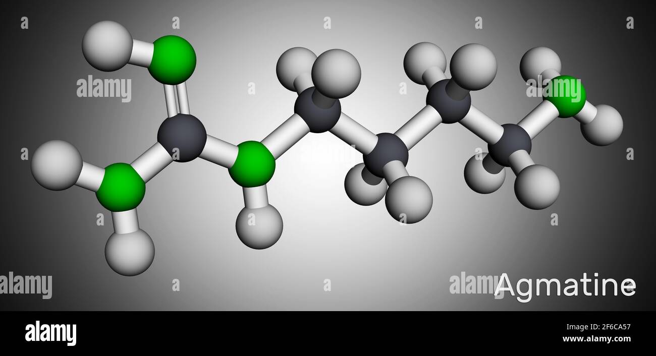Molecola di agmatina. È composto amminico, membro delle guanidine, metabolita naturale dell'arginina. Modello molecolare. Rendering 3D. Illustrazione Foto Stock