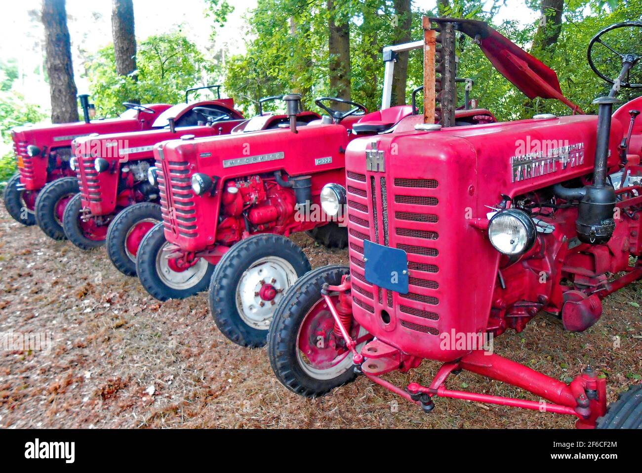 Itterbeck, bassa Sassonia, Germania - Giugno 19 2016 Serie di trattori classici per la mostra di trattori Mc Cornick rossi Foto Stock