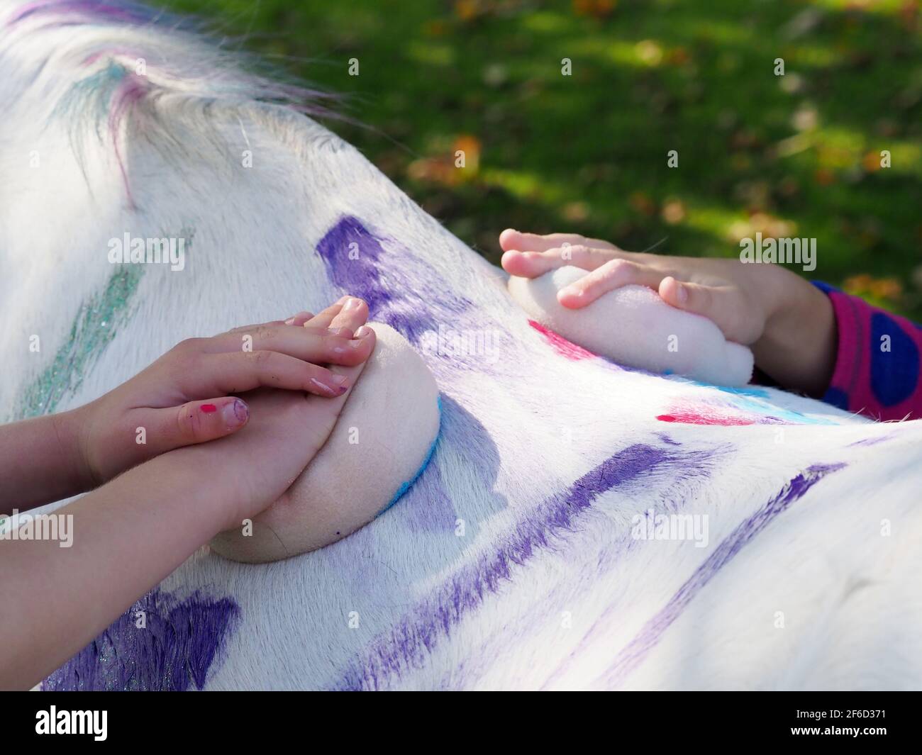 Primo piano di bambini che decorano un pony con vernice animale e gesso. Foto Stock