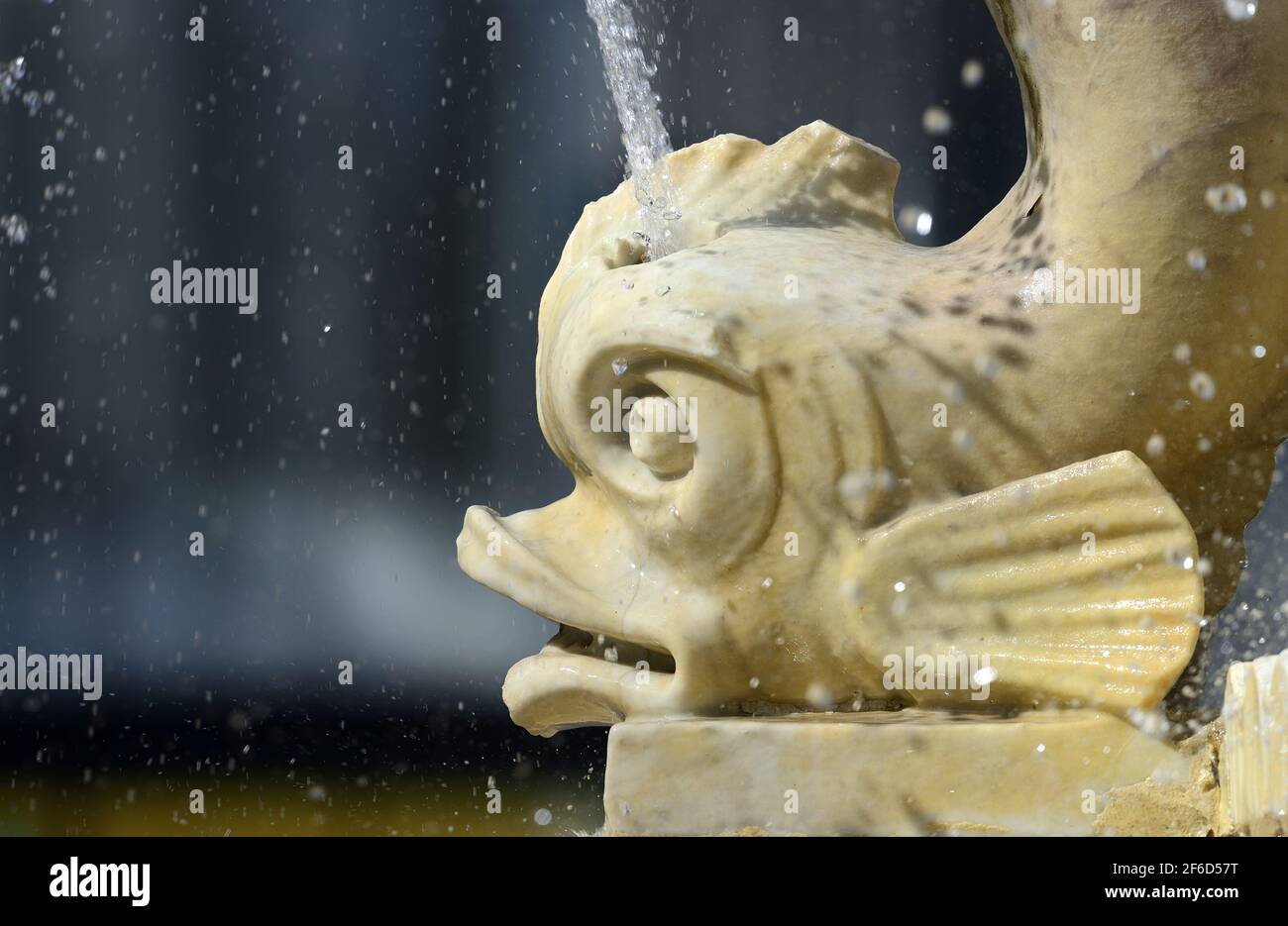 Londra, Inghilterra, Regno Unito. Fontana dei Delfini in Leicester Square Foto Stock