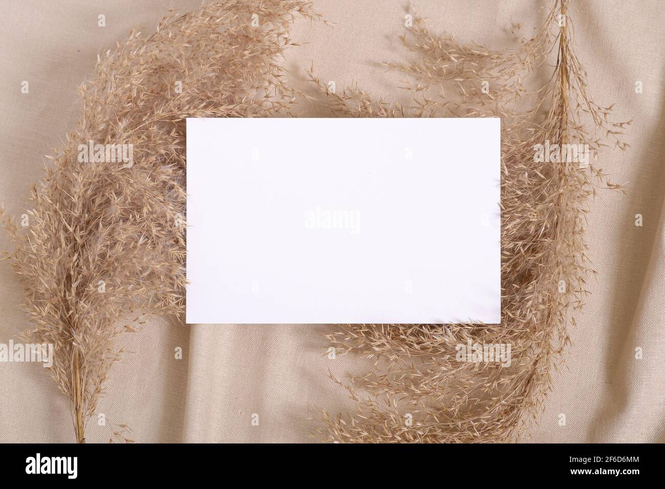 Carta bianca bianca mockup di carte con pampas erba secca su un tessuto di colore neutro beige Foto Stock