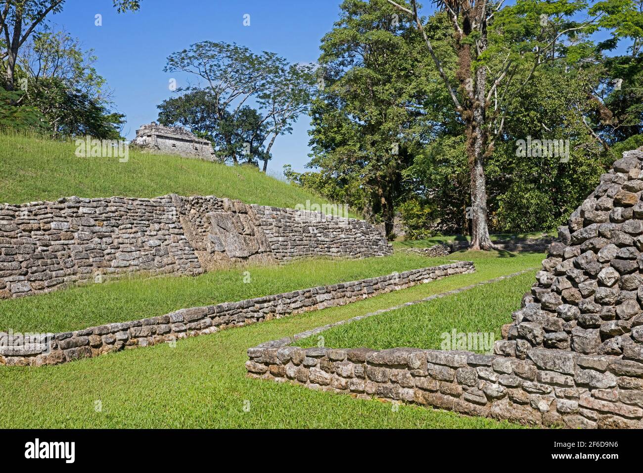 Campo da palla dal 500AD, una delle strutture più antiche al sito pre-colombiano della civiltà Maya di Palenque, Chiapas, Messico Foto Stock
