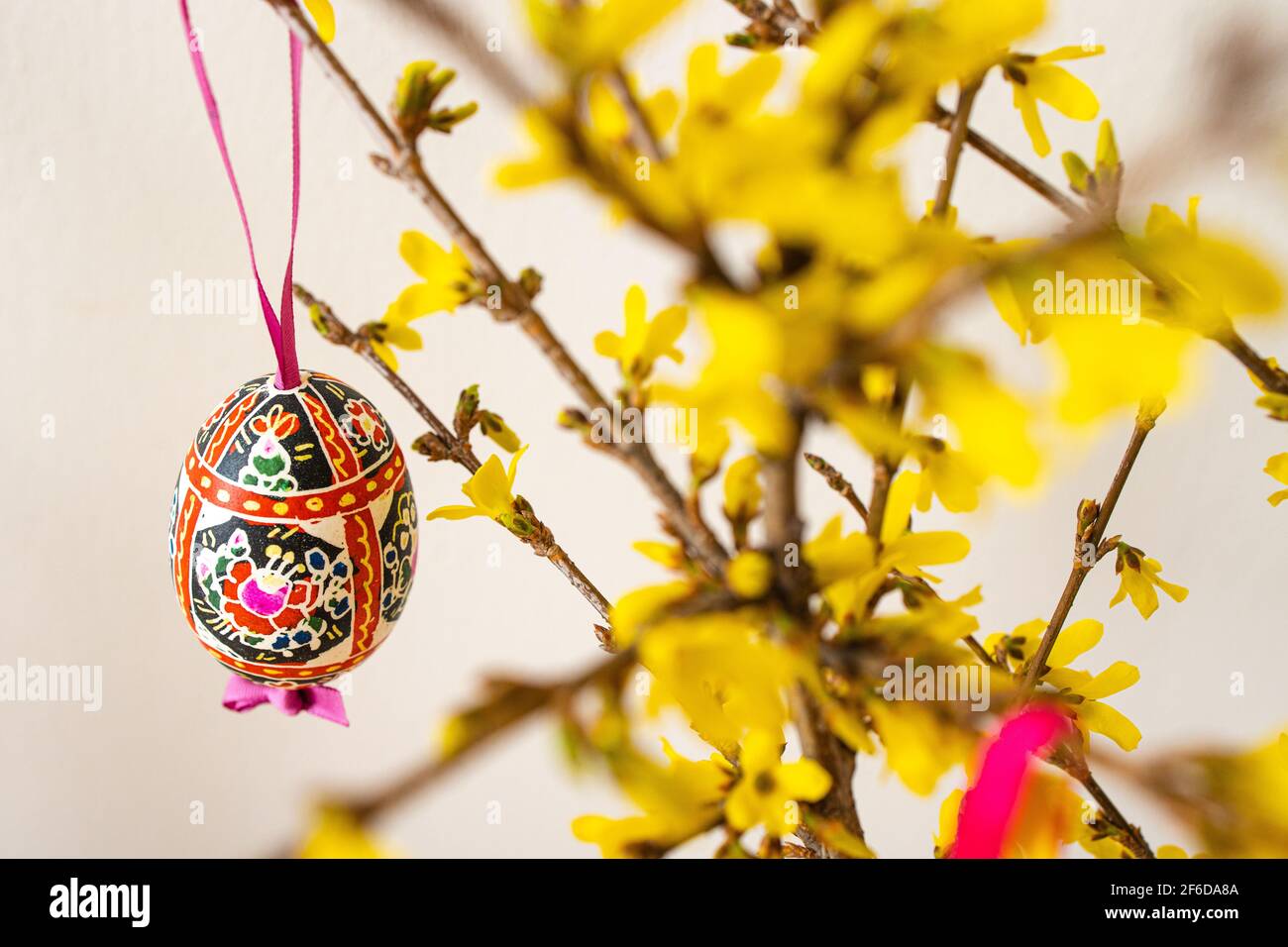 La sistemazione delle tradizionali uova di Pasqua 'Blatnice' decorate da Marie Cihakova e Forsythia fiorente, Brno, Repubblica Ceca, il 30 marzo 2021. (C Foto Stock