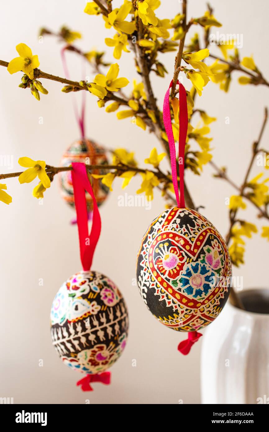 La sistemazione delle tradizionali uova di Pasqua 'Blatnice' decorate da Marie Cihakova e Forsythia fiorente, Brno, Repubblica Ceca, il 30 marzo 2021. (C Foto Stock