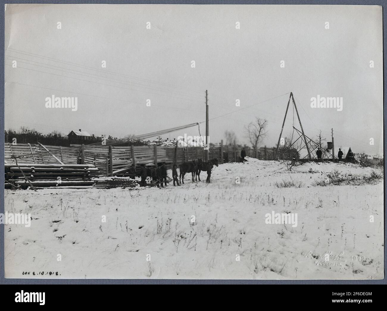 Immagine invernale con cavalli da lavoro per la disposizione del polo di alimentazione. Foto Stock