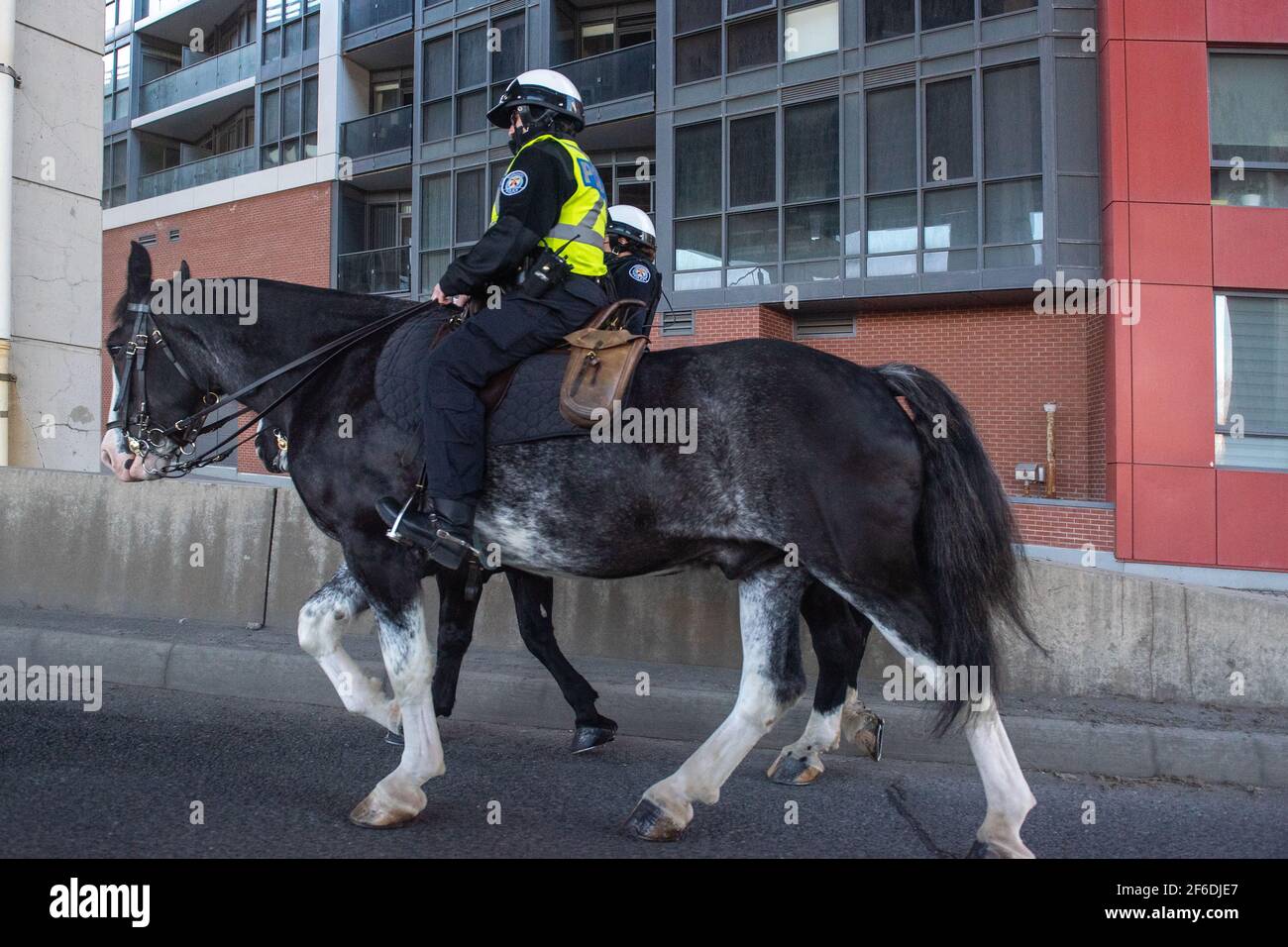 Toronto Mounted Police nelle vicinanze di Bathurst Street Foto Stock