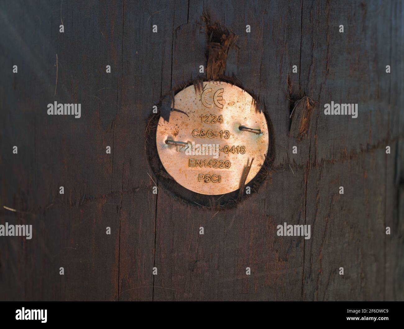 Disco in legno strutturale BS EN 14229 fissato ad un palo in legno ad alta tensione. Foto Stock