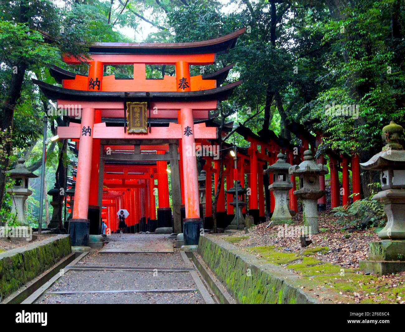 Una delle grandi porte torii in legno rosso al Santuario Fushimi Inari Shinto vicino a Kyoto, Giappone. Foto Stock