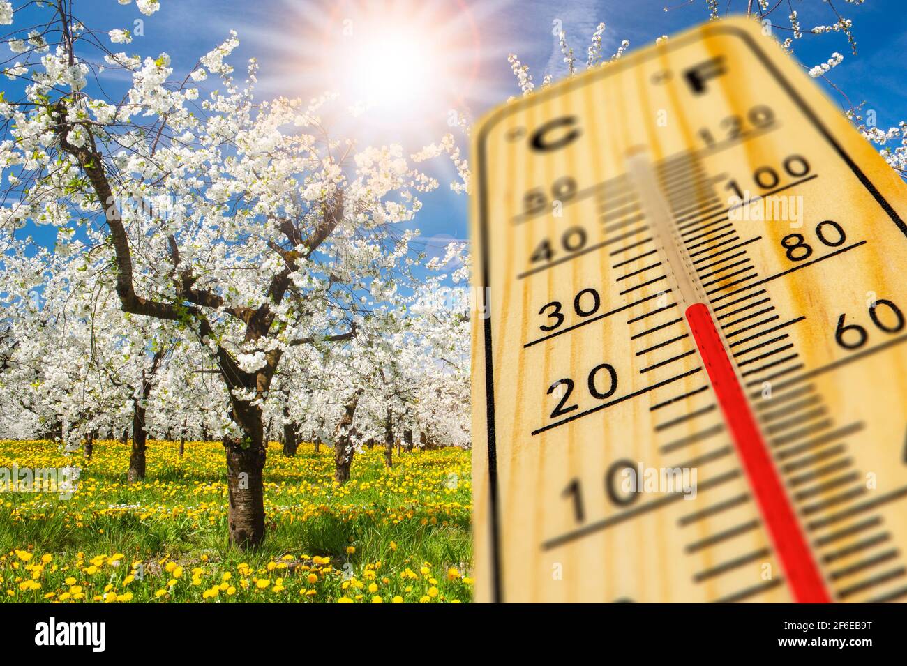 riscaldare il termometro in primavera Foto Stock