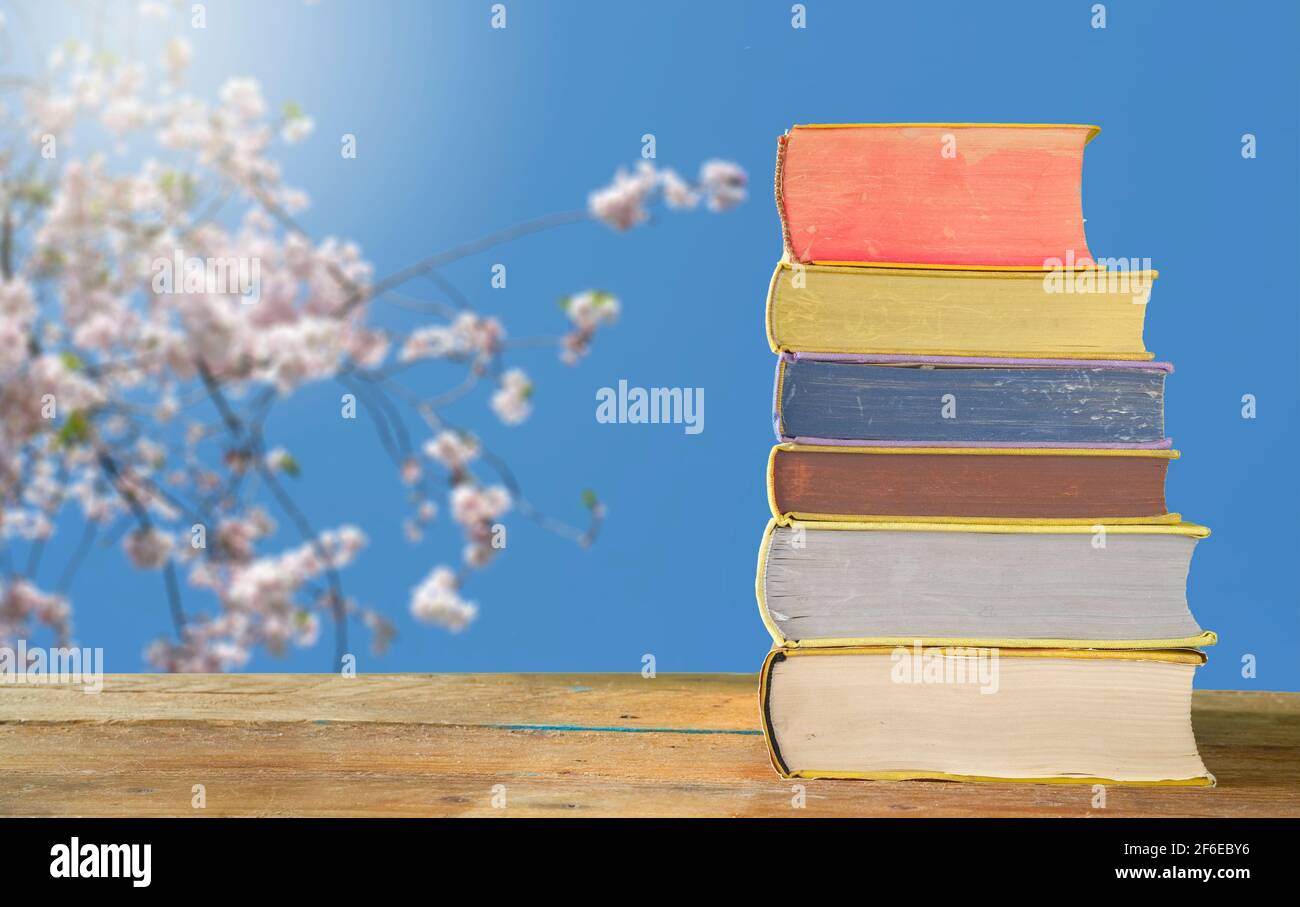 Leggere un libro e rilassarsi durante le vacanze primaverili, stack di libri con fiori di ciliegio, e ciliegio, spazio copia gratuito, nessuna gente Foto Stock