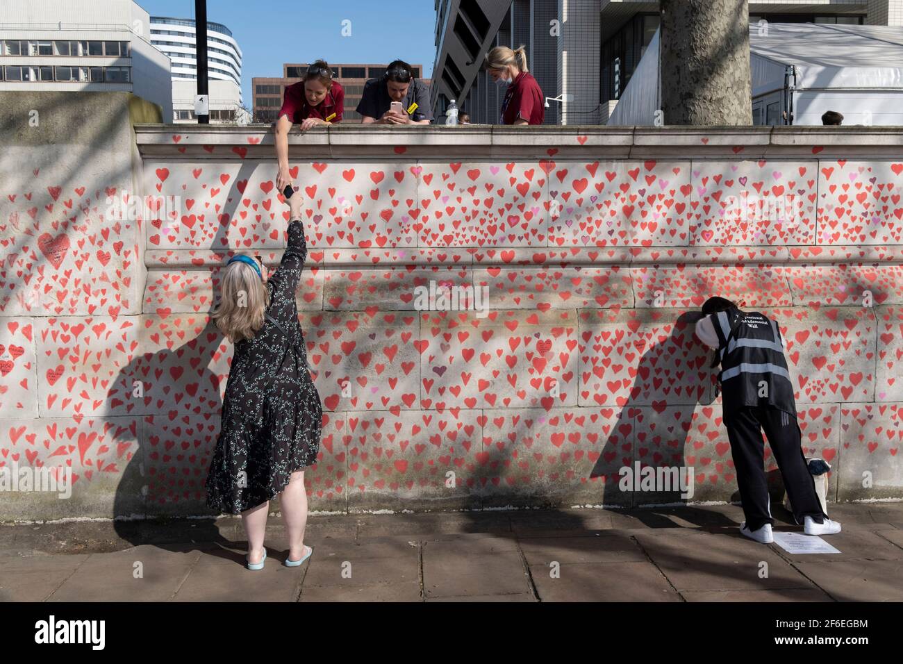 I cuori rossi che formano il National Covid Memorial Wall, un tributo alle oltre 150,000 vittime britanniche della pandemia di Coronavirus. La famiglia e gli amici delle vittime di Covid-19 hanno iniziato a lavorare sul muro situato fuori dall'ospedale St Thomas, e che si affaccia alla Camera del Parlamento a Westminster, il 30 marzo 2021, a Londra, Inghilterra. Lo scorso anno il primo Ministro Boris Johnson è stato trattato per Covid a St Thomas. Foto Stock