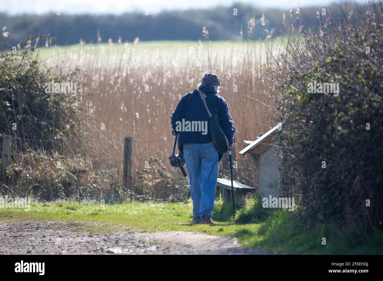 Un birdwatcher che guarda la guida degli uccelli in una natura prenota Foto Stock
