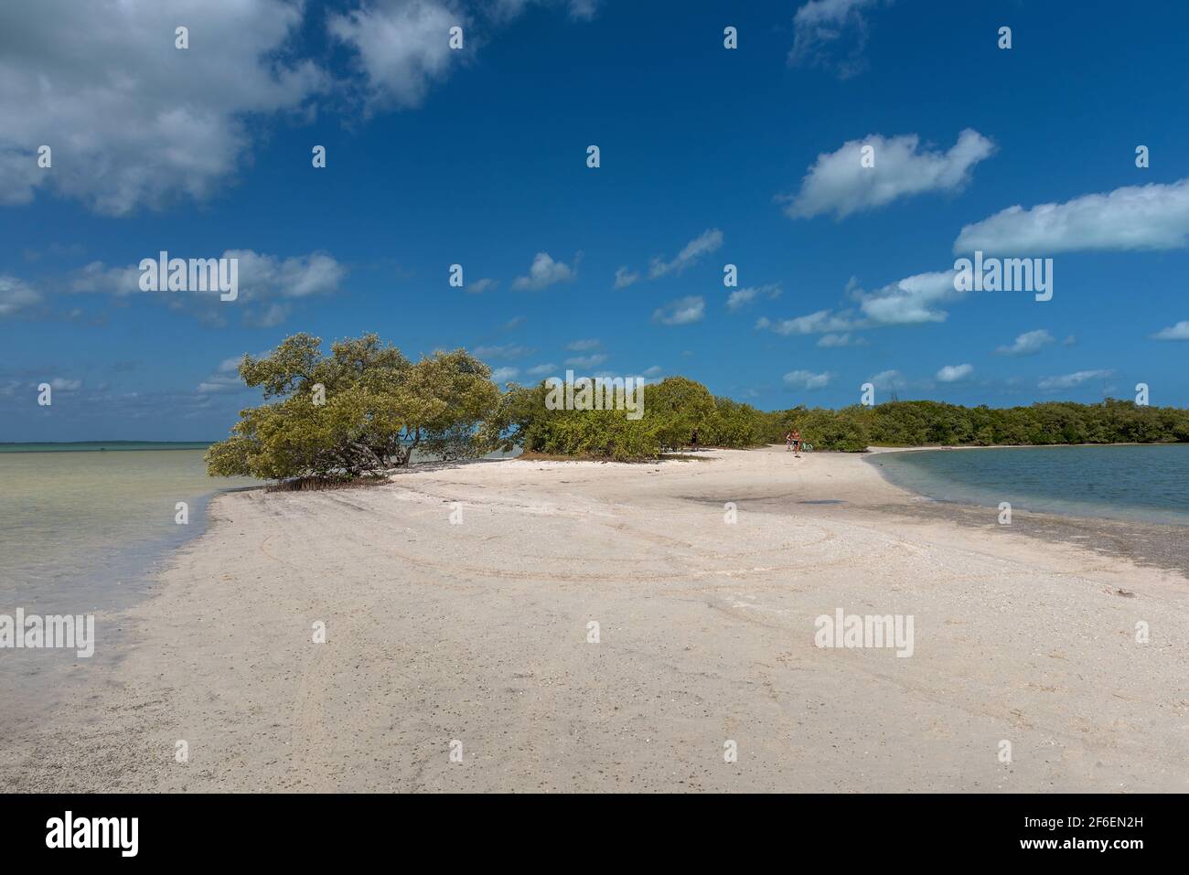 Spiaggia sull'isola di Holbox nel Mar dei Caraibi del Messico Foto Stock