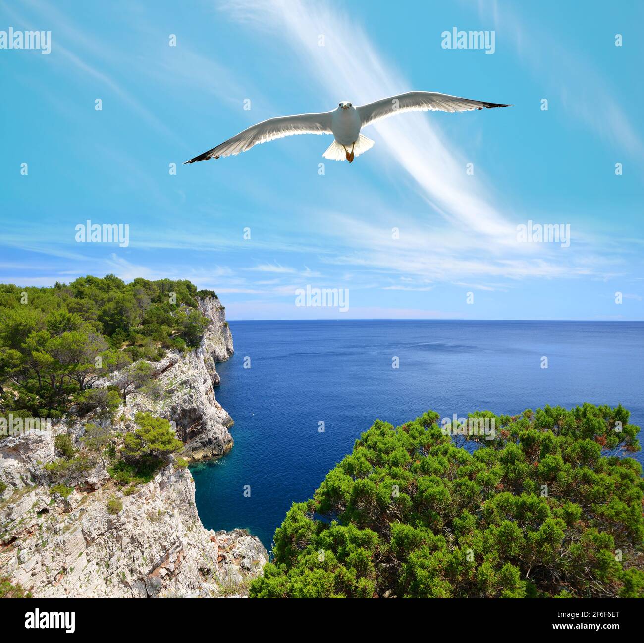 Seagull sopra le scogliere nel Parco Naturale di Telascica, Dugi Otok isola nel mare Adriatico. Croazia. Foto Stock