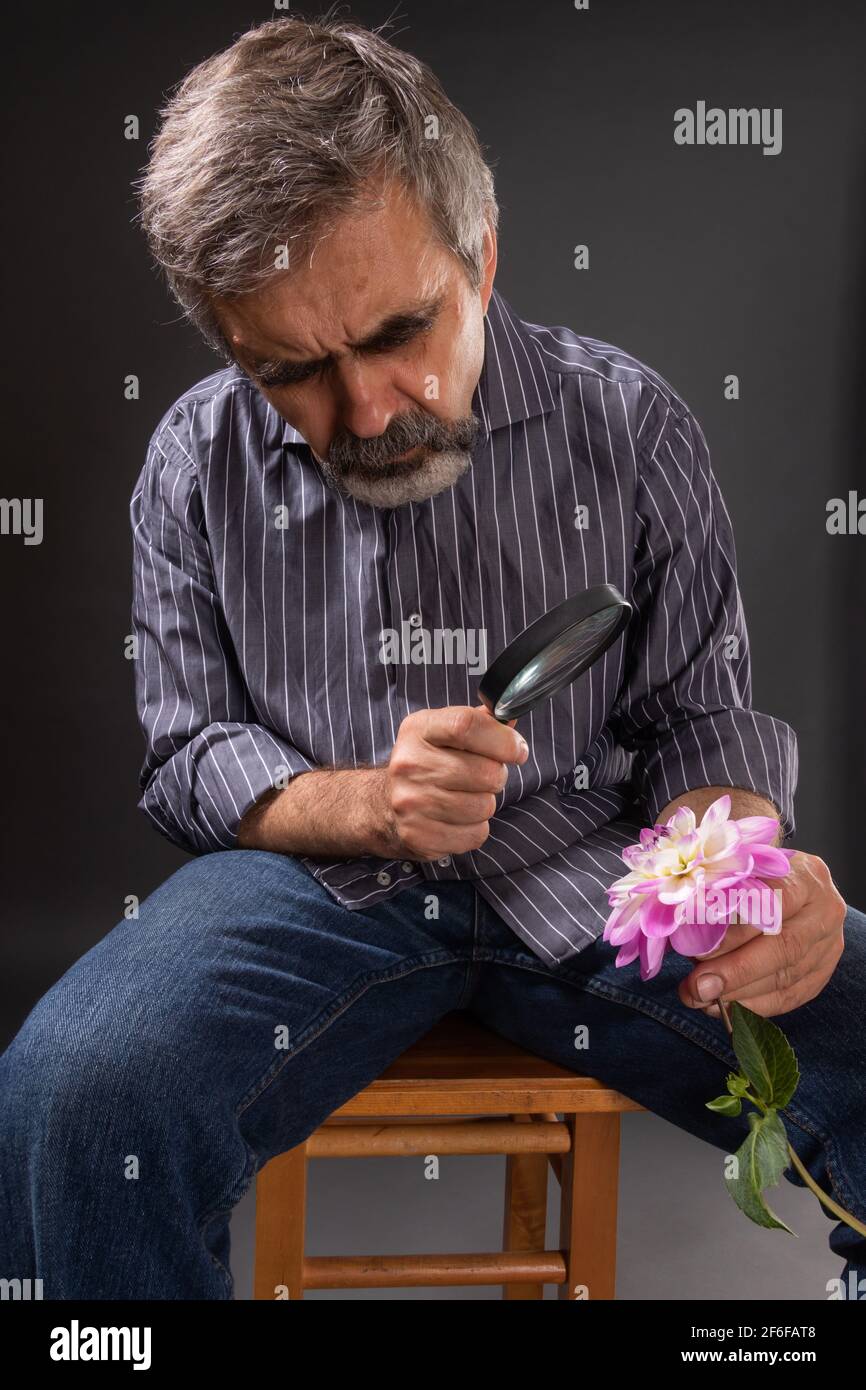 L'uomo bearded con la stoppia insana guarda attraverso la lente d'ingrandimento i petali di dahlia Foto Stock