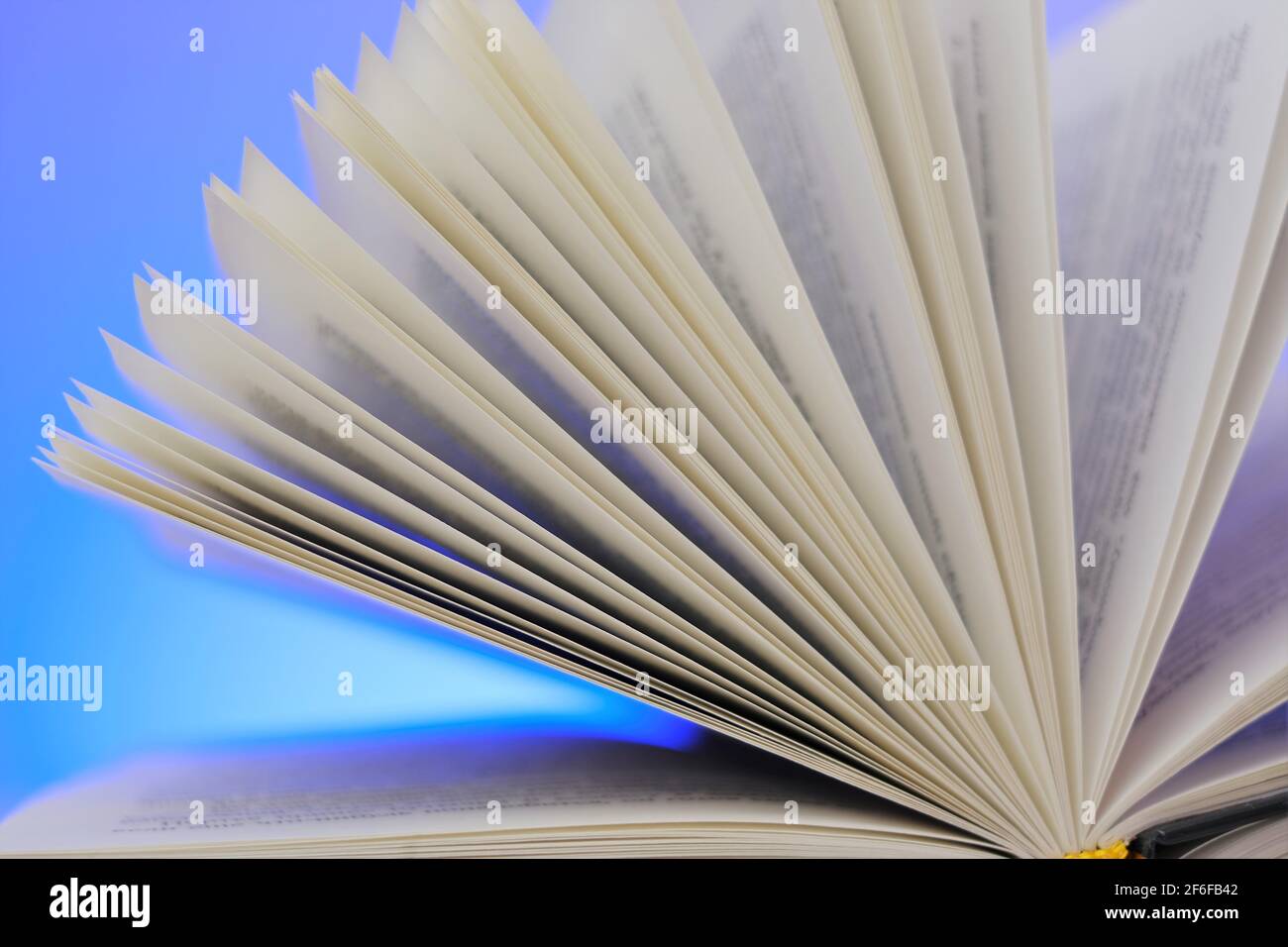 Libri di lettura e libro di letteratura.Open su uno sfondo blu. Primo piano pages.concetti di apprendimento e conoscenza. Foto Stock