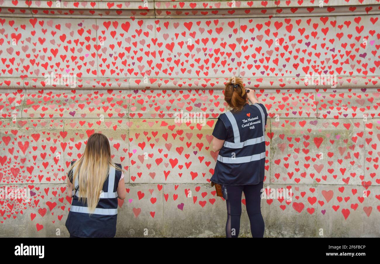 Londra, Regno Unito. 31 Marzo 2021. I volontari dipingono i cuori rossi sul National Covid Memorial Wall di Londra. Circa 150,000 cuori saranno dipinti da volontari, uno per ogni vittima Covid-19 nel Regno Unito fino ad oggi, sul muro fuori dall'ospedale St Thomas' di fronte alle Camere del Parlamento. Credit: SOPA Images Limited/Alamy Live News Foto Stock