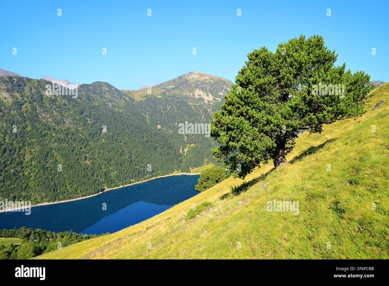 Splendido paesaggio montano nella riserva naturale nazionale di Neouvielle, lago Lac de l'Oule, Pirenei francesi. Foto Stock