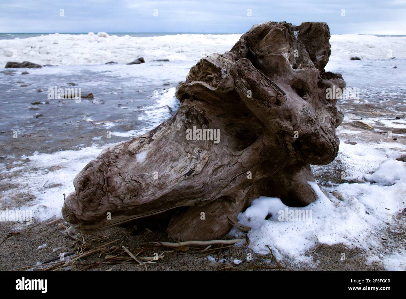 Inverno nell'Ontario sudoccidentale, Canada: Grande pezzo di driftwood sulle rive ghiacciate di Grand Bend Beach, lago Huron, girato a gennaio. Foto Stock Inverno nell'Ontario sudoccidentale, Canada: Grande pezzo di driftwood sulle rive ghiacciate di Grand Bend Beach, lago Huron, girato a gennaio. Foto Stock