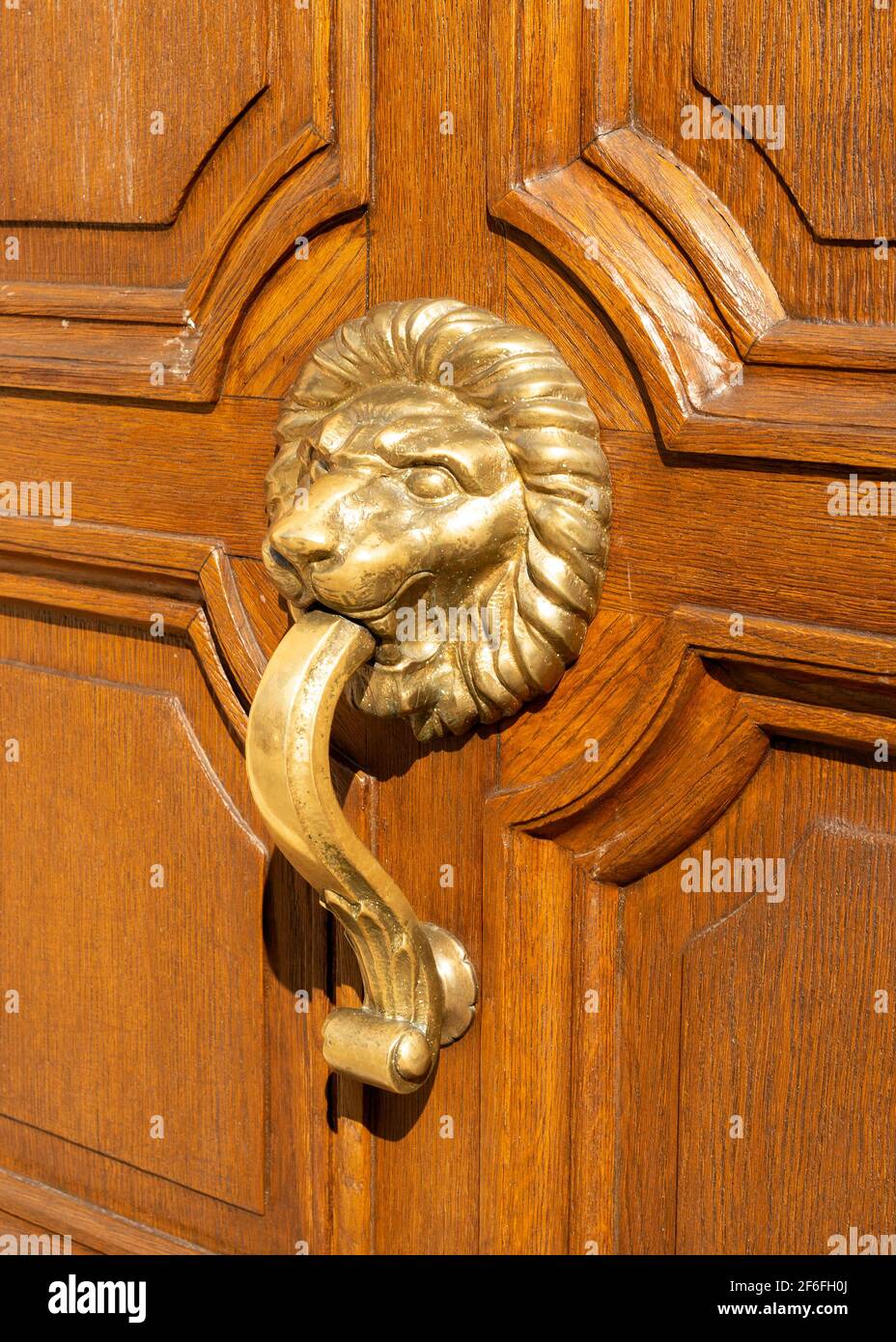 Testa di leone in metallo ornato maniglia manopola bussa vista laterale su porta di legno a Sofia, Bulgaria, Europa orientale, Balcani Foto Stock