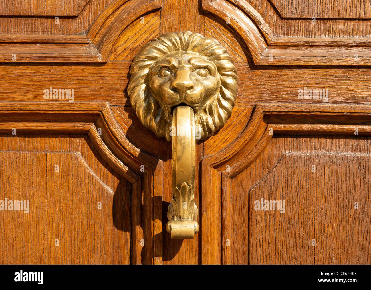 Testa di leone in metallo ornato maniglia pomello bussa vista frontale su porta di legno a Sofia, Bulgaria, Europa orientale, Balcani Foto Stock