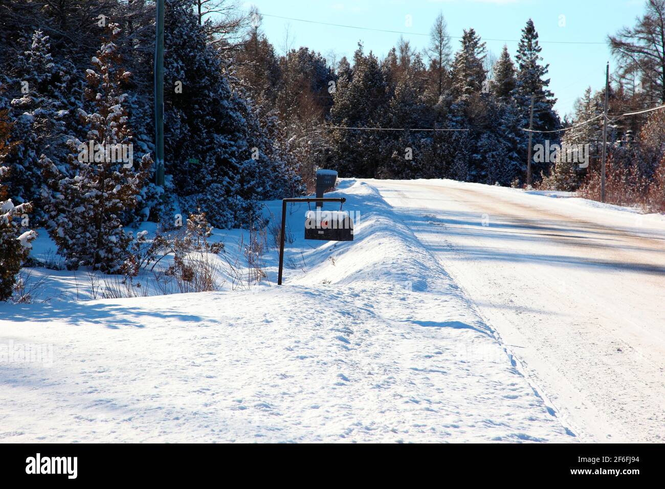 inverno canadese Foto Stock