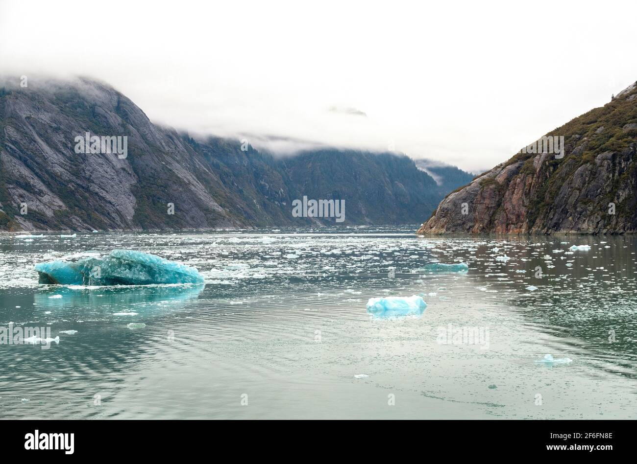 Guardando verso il basso Endicott Sound, Alaska Foto Stock