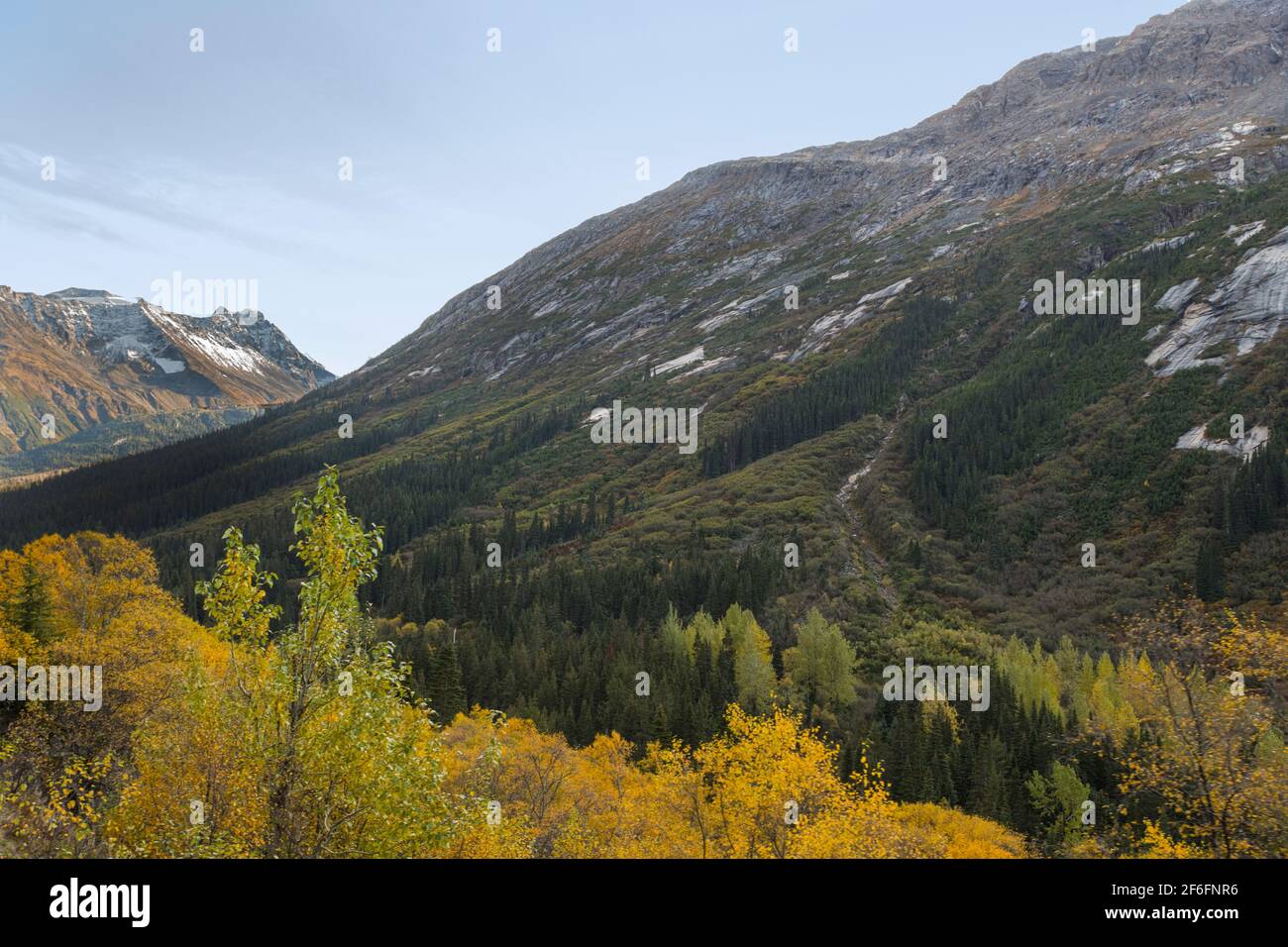 Paesaggio in Alaska Foto Stock