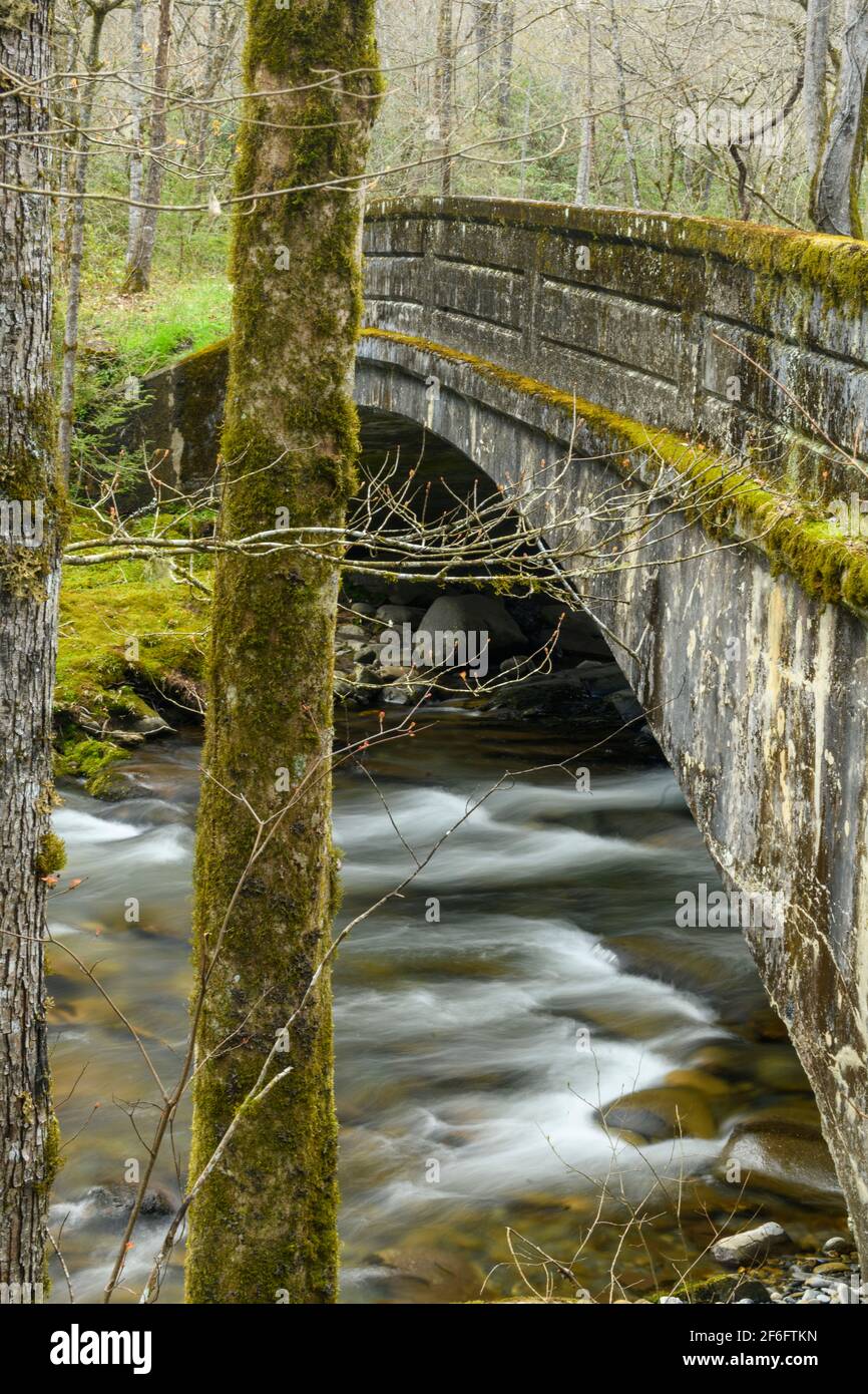 Ponte a Smokemont, Great Smoky Mountains National Park, North Carolina Foto Stock