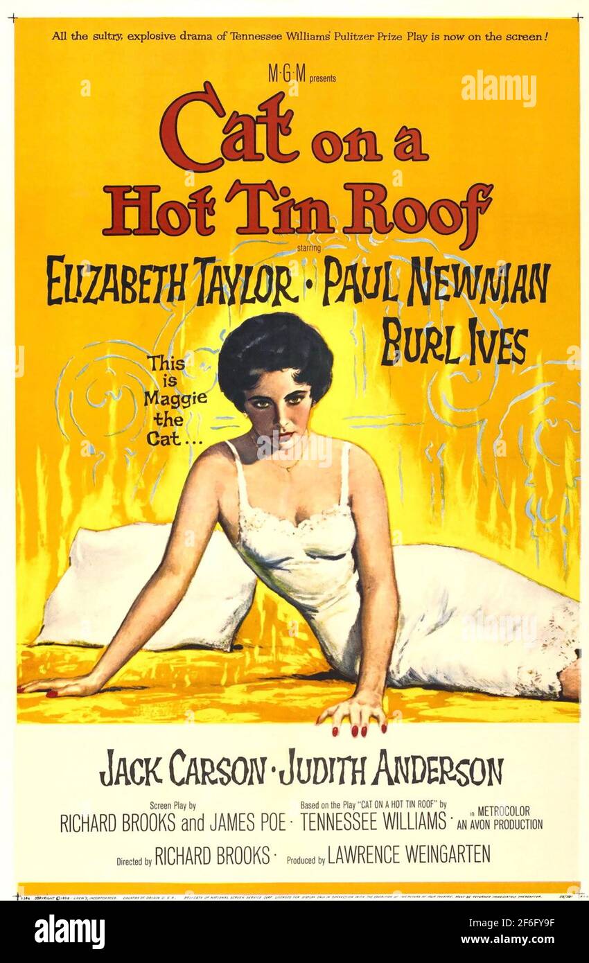 CAT SU un caldo TIN TETTO 1958 MGM film con Elizabeth Taylor come Maggie. Poster di Reynold Brown Foto Stock
