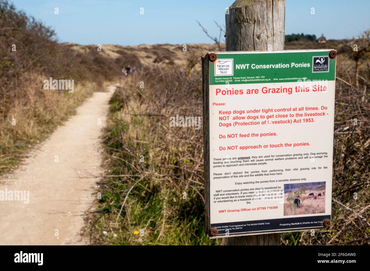 Un segno alla riserva naturale di Holme Dunes avverte che i pony undomed sono usati nel luogo per pascolo di conservazione. Foto Stock