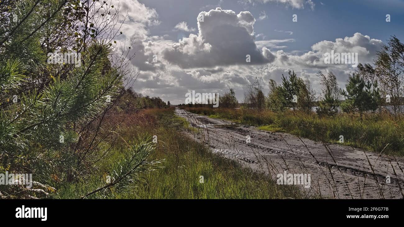 Moorlandschaft - Moorweg mit Reifenspuren - Kumuluswolke Foto Stock