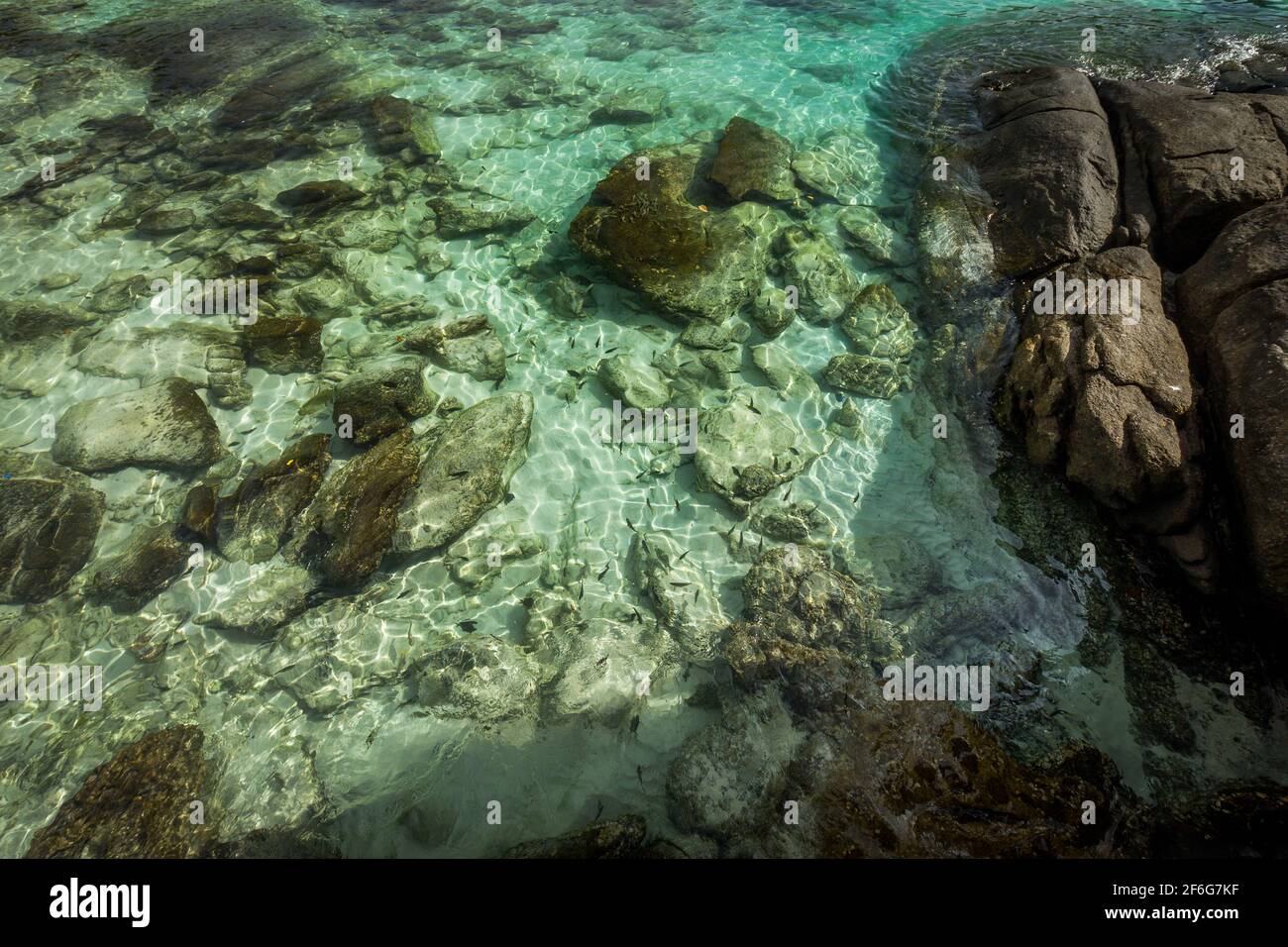Rocce visto attraverso acqua chiara in Koh Racha Yai Island e le Isole Phi Phi, Thailandia. Foto Stock