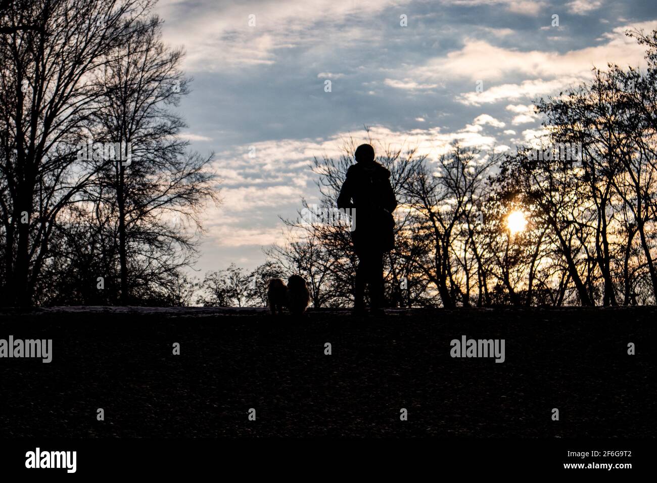 Silhouette di ragazza e del suo cane in piedi all'aperto sotto il cielo blu, inverno, osservando il magico tramonto alla fine della giornata Foto Stock
