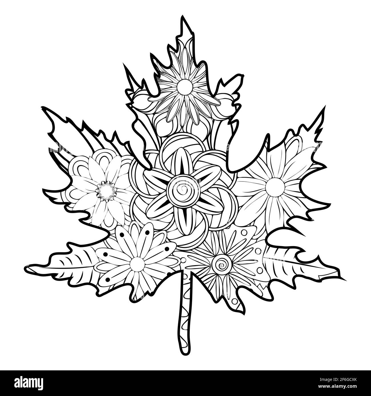 Zentangle. Motivo floreale. Foglia di acero, castagno, quercia a zentangle,  libro da colorare per adulti Immagine e Vettoriale - Alamy