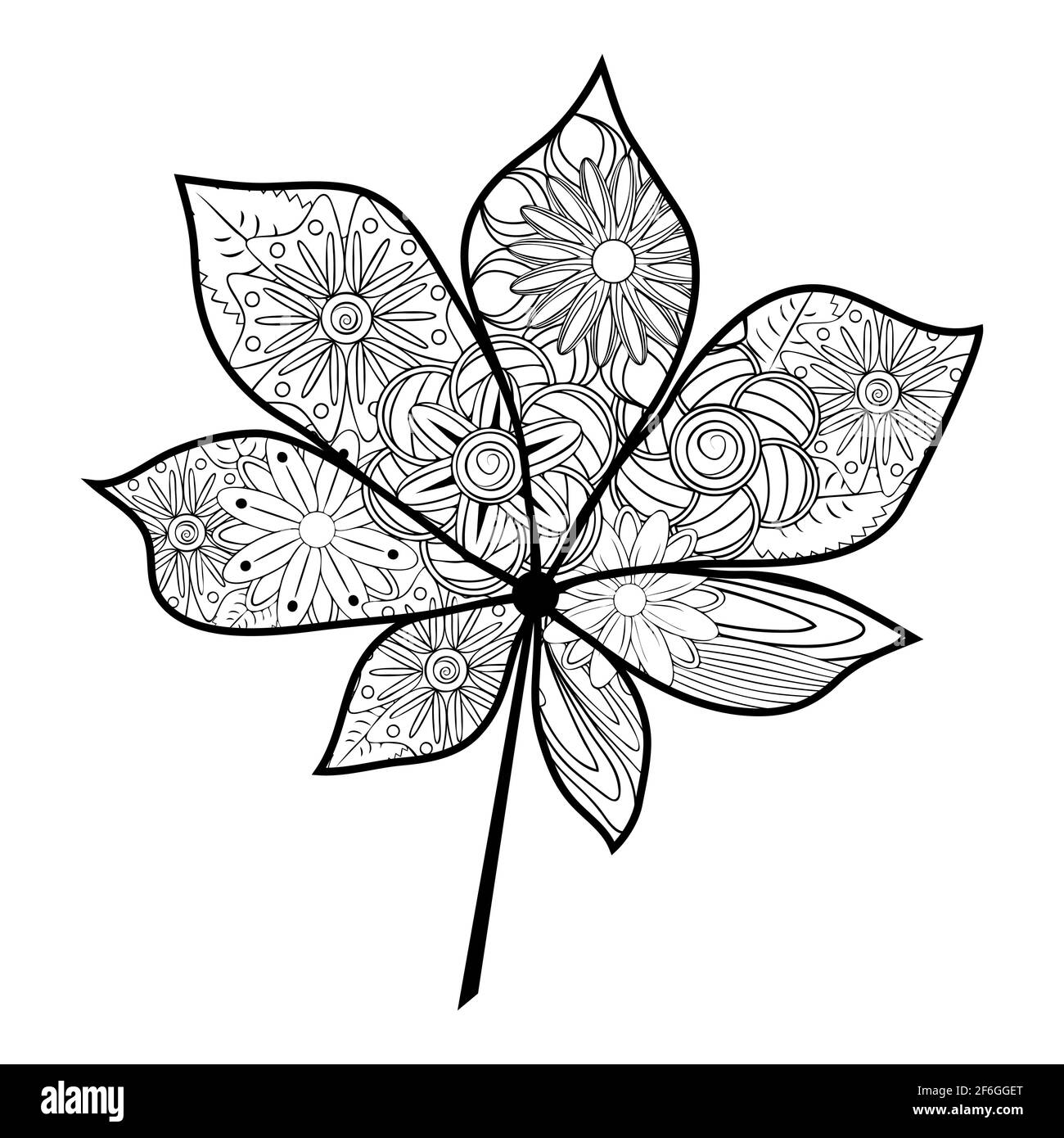 Zentangle. Motivo floreale. Foglia di acero, castagno, quercia a zentangle,  libro da colorare per adulti Immagine e Vettoriale - Alamy