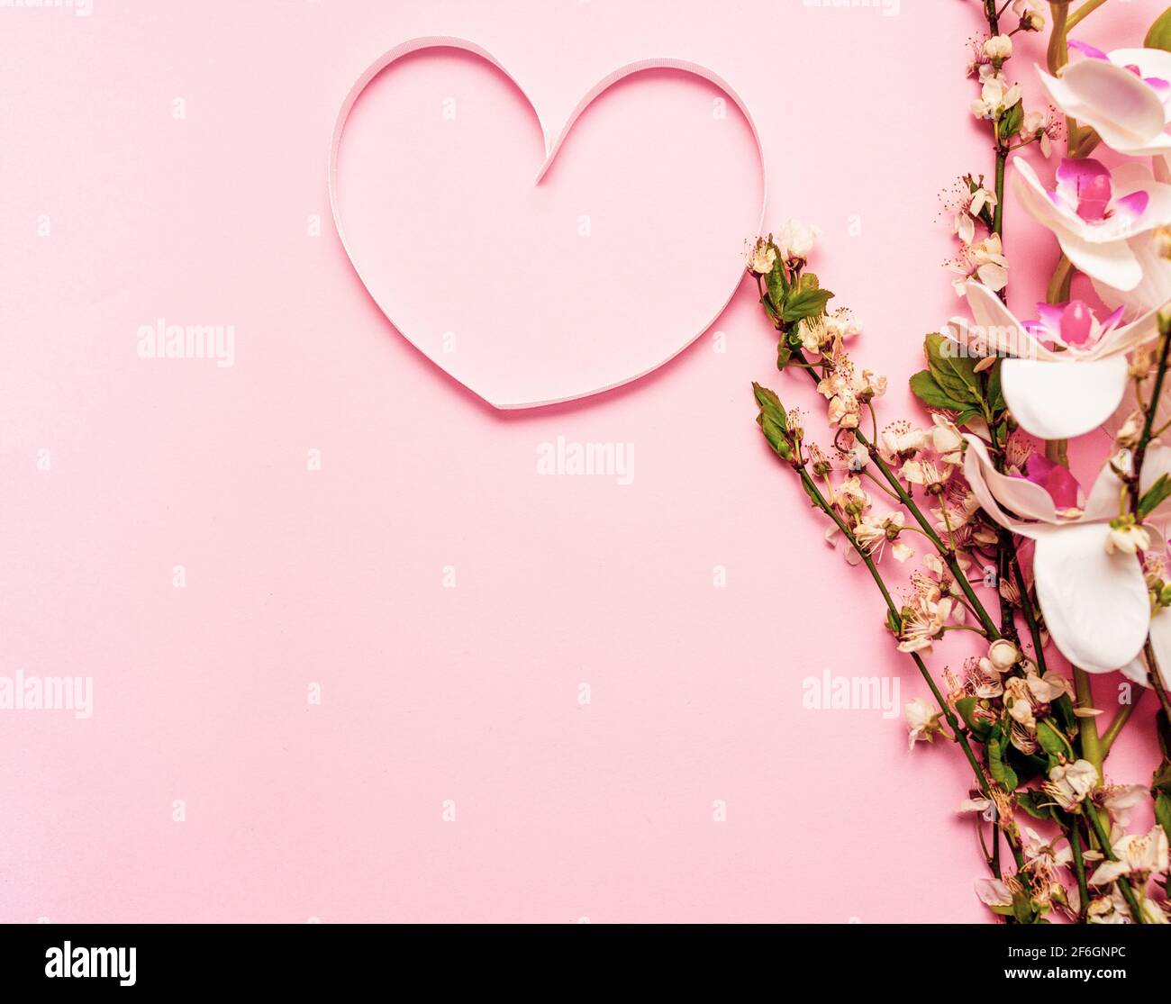 Struttura primaverile con fiore e cuore in nastro rosa su sfondo viola. Concetto di primavera Foto Stock