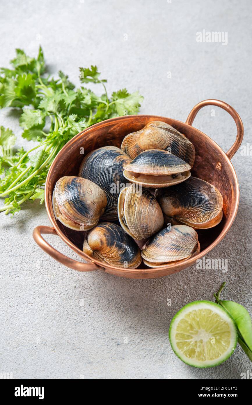 Creme crude non cotte vongole molluschi con ingredienti per cucinare coriandr, birra e lime in cooper ciotola su sfondo grigio Foto Stock