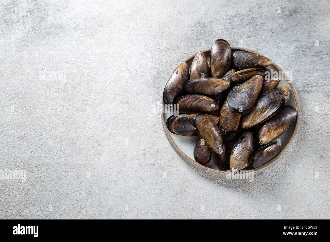 Molluschi crudi cozze su piatto grigio, fondo grigio. Frutti di mare di molluschi. Vista dall'alto. Foto Stock