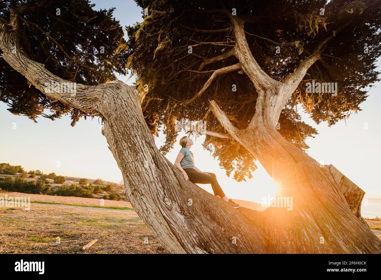 Stati Uniti, California, Cambria, ragazza (12-13) seduta su albero in paesaggio al tramonto Foto Stock