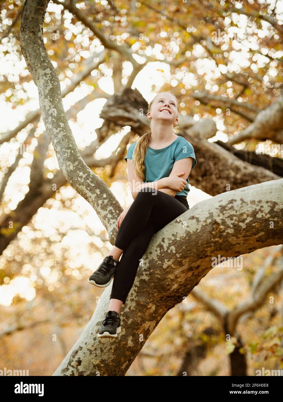 Stati Uniti, California, Missione Viejo, ragazza (12-13) seduta sul ramo dell'albero Foto Stock