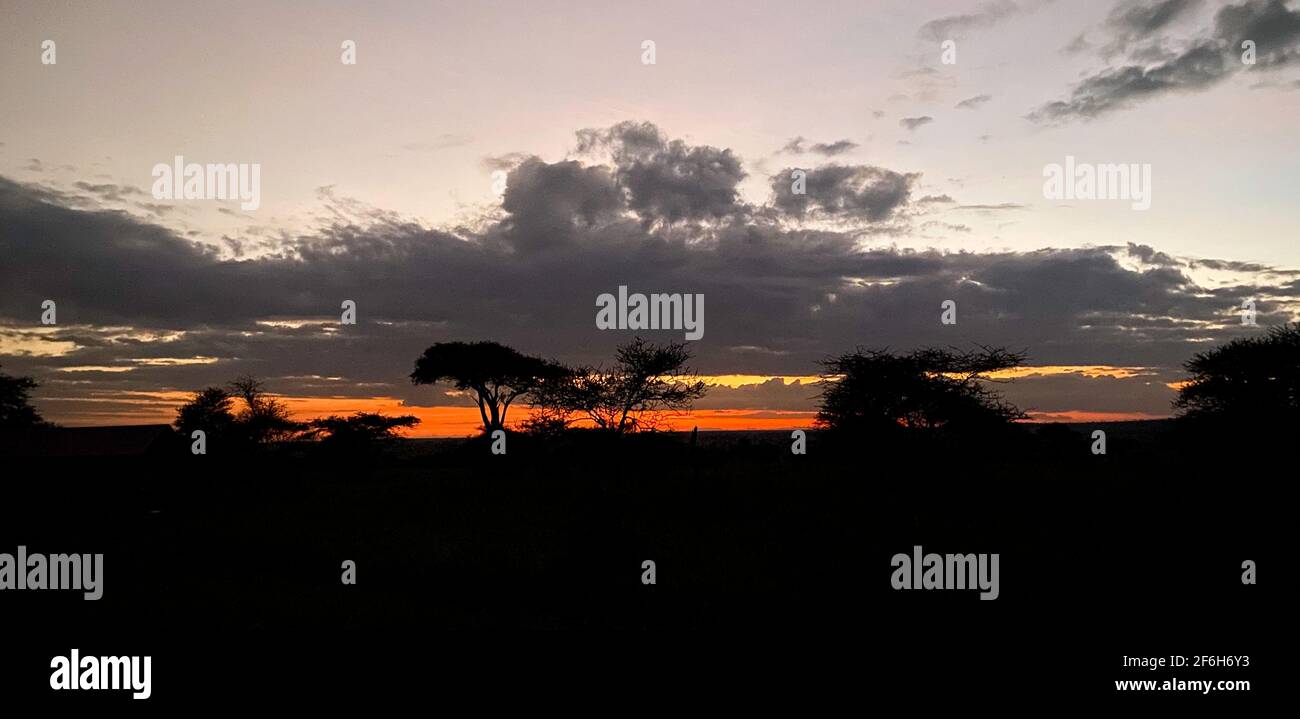 La sera cade sul Serengeti Foto Stock