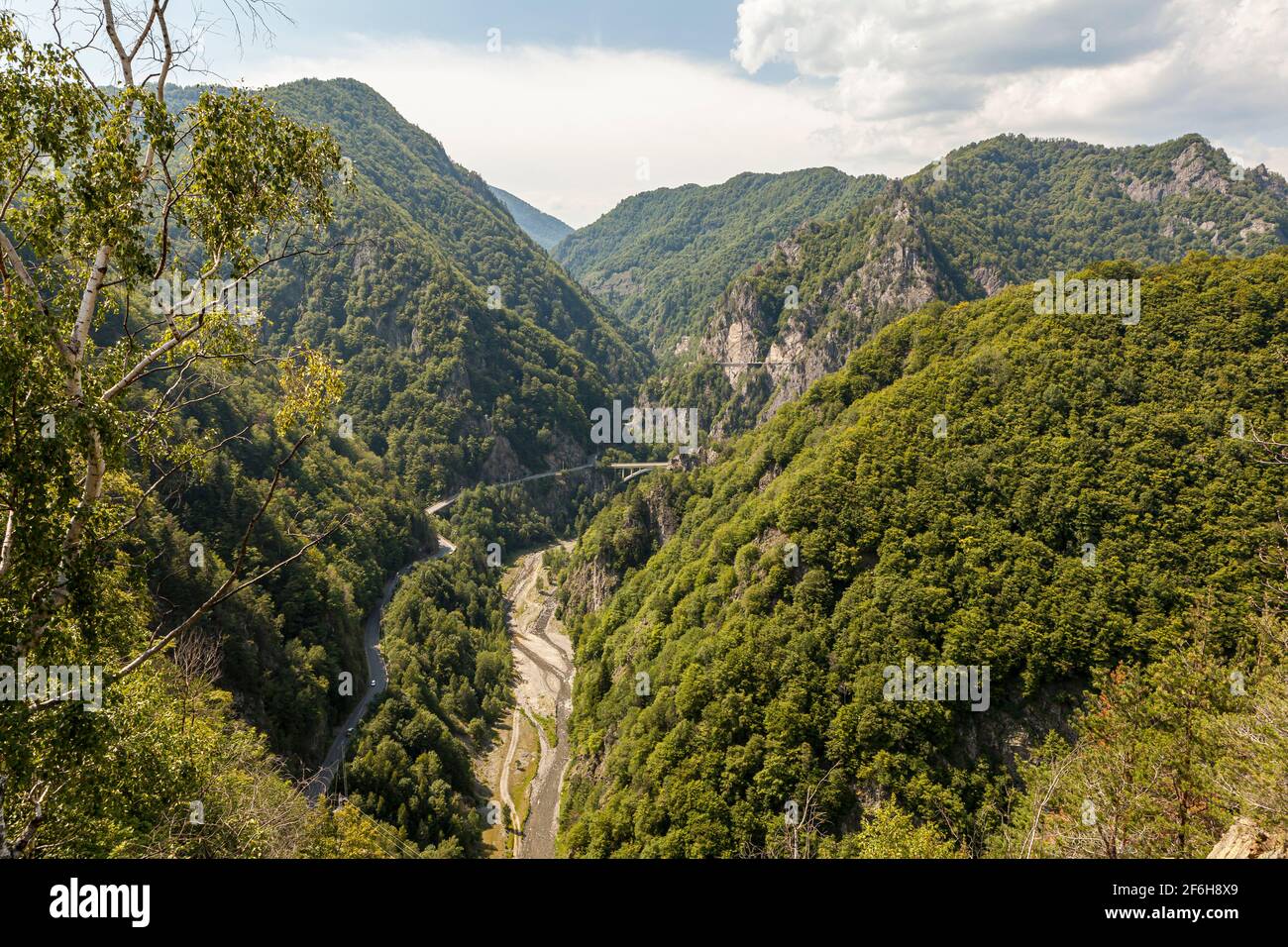 Valle del fiume Argeș, vicino al Castello di Poenari, Romania Foto Stock