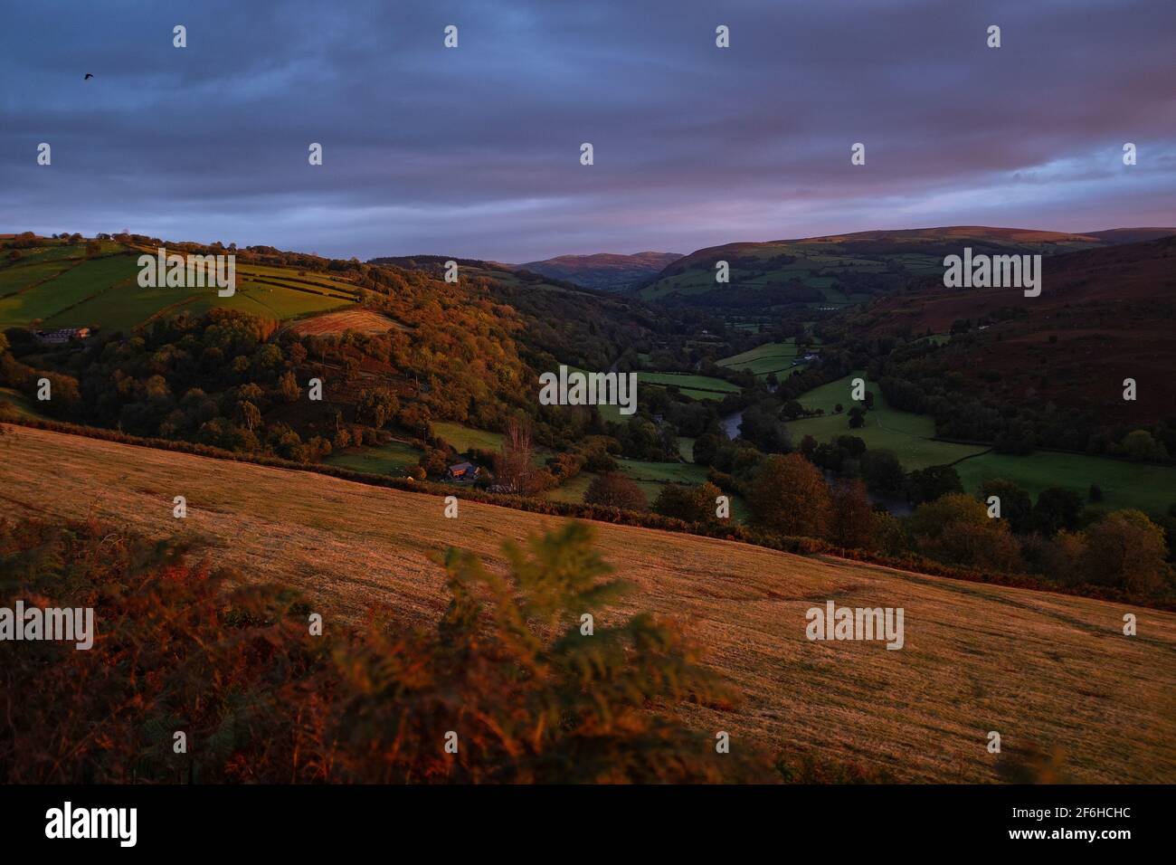 Wye Valley, Powys, Galles Foto Stock